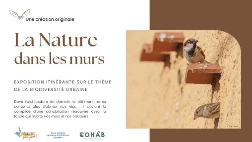 La nature dans les murs