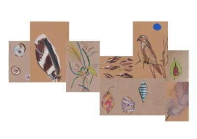 Le Paravent de la Biodiversité